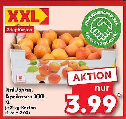 Ital./span. Aprikosen XXL, 2-kg-Karton