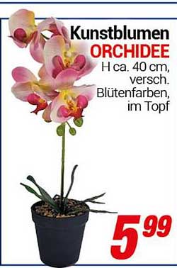 Kunstblumen ORCHIDEE H ca. 40 cm, verschiedene Blütenfarben, im Topf
