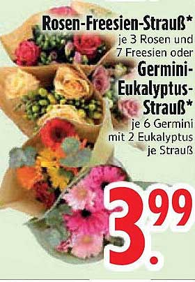 Rosen-Freesien-Strauß* oder Germini-Eukalyptus-Strauß*