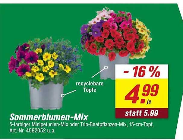 Sommerblumen-Mix - 5-farbiger Minipetunien-Mix oder Trio-Beetpflanzen-Mix, 15-cm-Topf