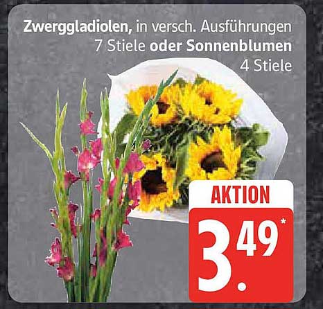 Zwerggladiolen, in verschiedenen Ausführungen - 7 Stiele oder Sonnenblumen - 4 Stiele