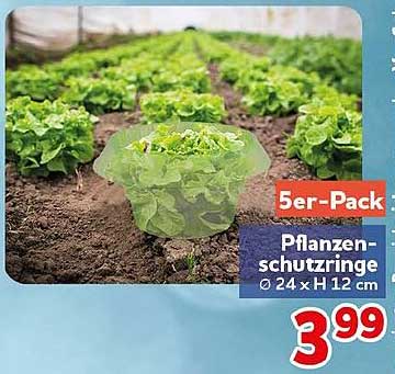 5er-Pack Pflanzenschutzringe Ø 24 x H 12 cm