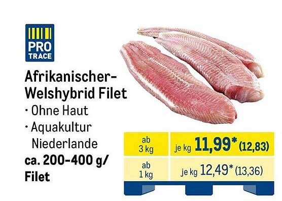 Afrikanischer-Welshybrid Filet