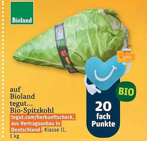 auf Bioland tegut... Bio-Spitzkohl