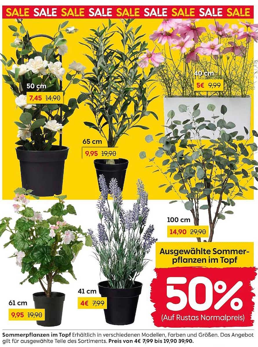 Ausgewählte Sommerpflanzen im Topf