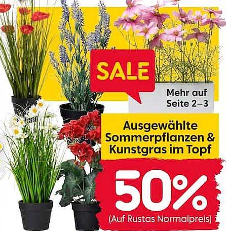 Ausgewählte Sommerpflanzen & Kunstgras im Topf