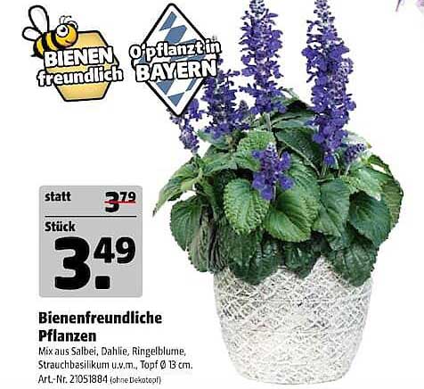Bienenfreundliche Pflanzen
