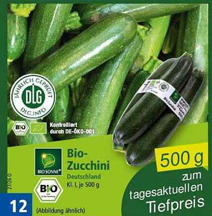 Bio-Zucchini Deutschland