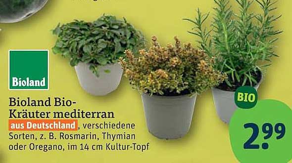 Bioland Bio-Kräuter mediterran