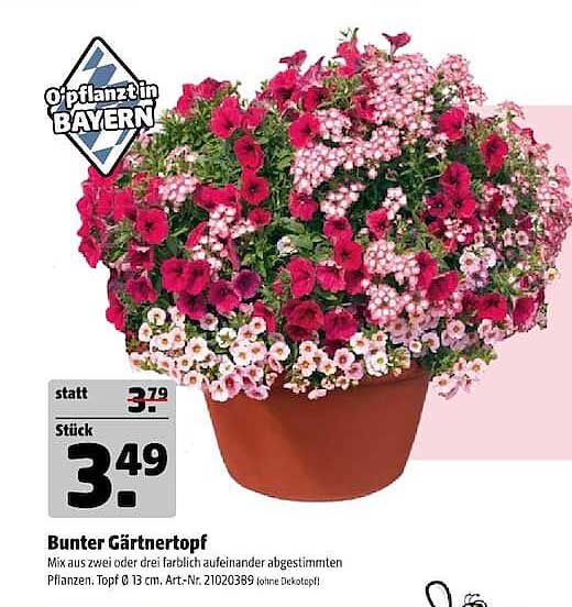 Bunter Gärtnertopf