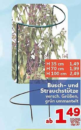 Busch- und Strauchstütze verschied. Größen, grün ummantelt