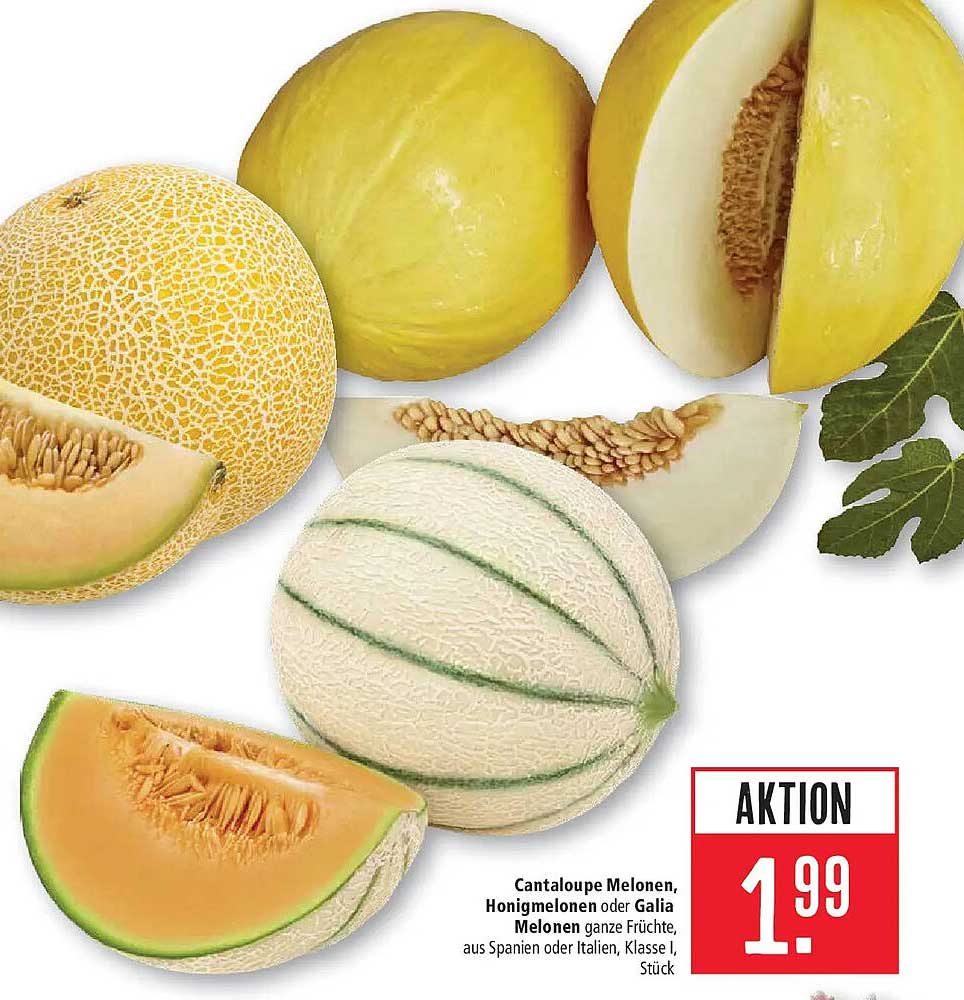Cantaloupe Melonen, Honigmelonen oder Galia Melonen ganze Früchte, aus Spanien oder Italien, Klasse I, Stück