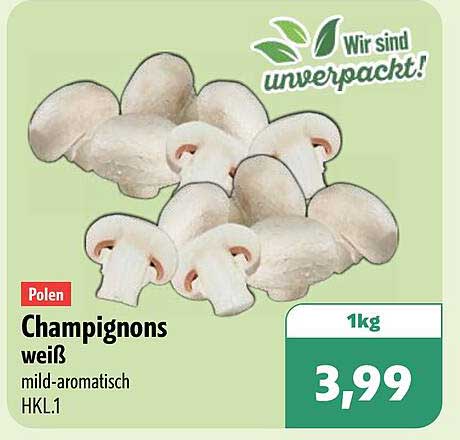 Champignons weiß