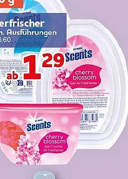cherry blossom Gel Air Freshener