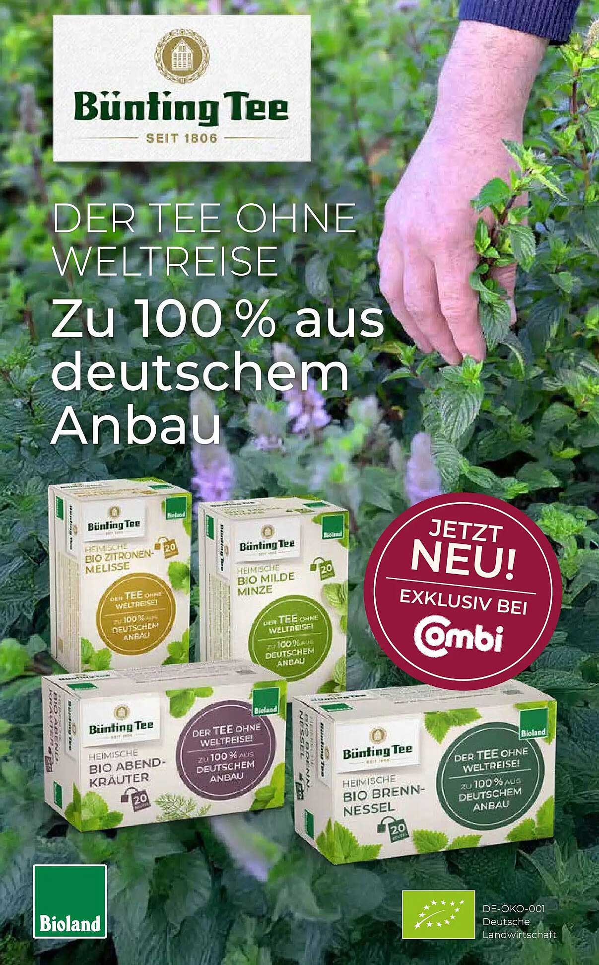 DER TEE OHNE WELTREISE Zu 100 % aus deutschem Anbau