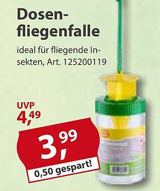 Dosenfliegenfalle