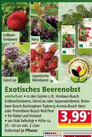 Exotisches Beerenobst