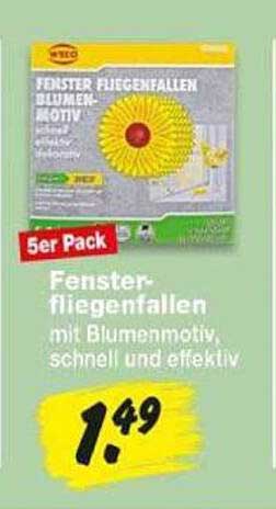 Fenster-Fliegenfallen mit Blumenmotiv, schnell und effektiv