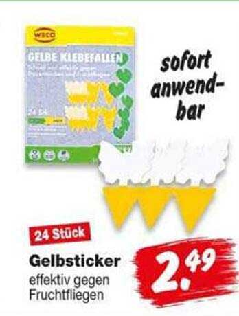 Gelbsticker effektiv gegen Fruchtfliegen