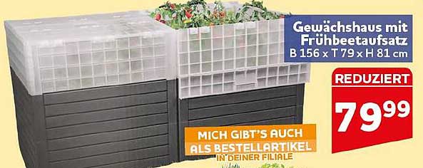 Gewächshaus mit Frühbeetaufsatz B 156 x T 79 x H 81 cm