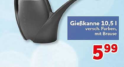 Gießkanne 10,5 l, versch. Farben, mit Brause