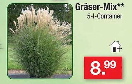 Gräser-Mix** 5-l-Container