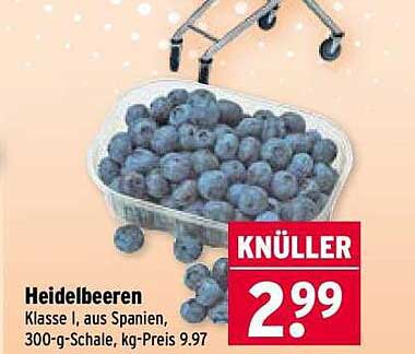 Heidelbeeren
