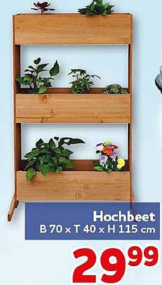 Hochbeet B 70 x T 40 x H 115 cm