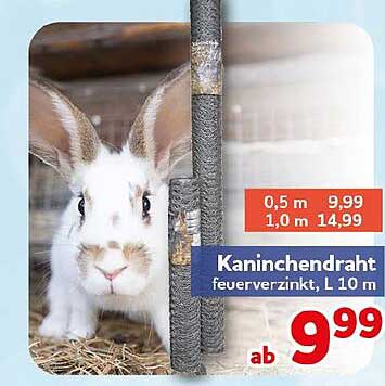 Kaninchendraht feuerverzinkt, L 10 m