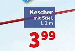 Kescher mit Stiel, L 1 m
