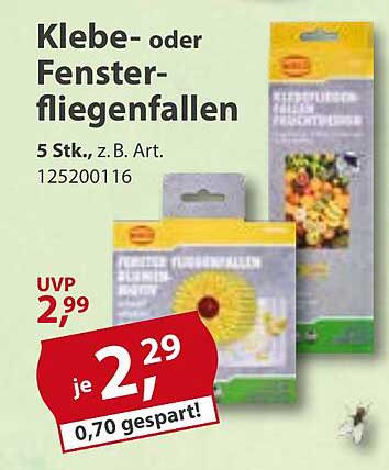 Klebe- oder Fenster-fliegenfallen