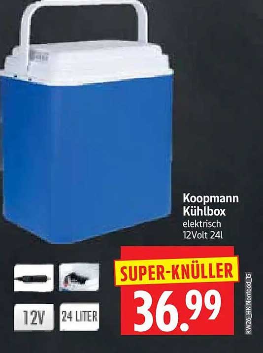 Koopmann Kühlbox elektrisch 12Volt 24l