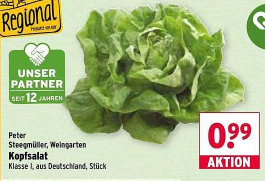 Kopfsalat