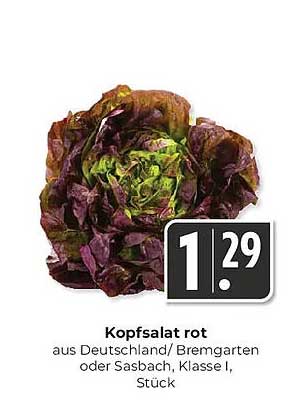 Kopfsalat rot