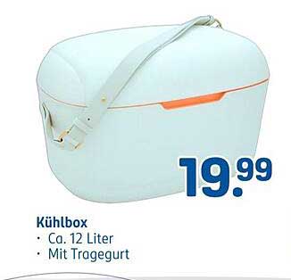 Kühlbox