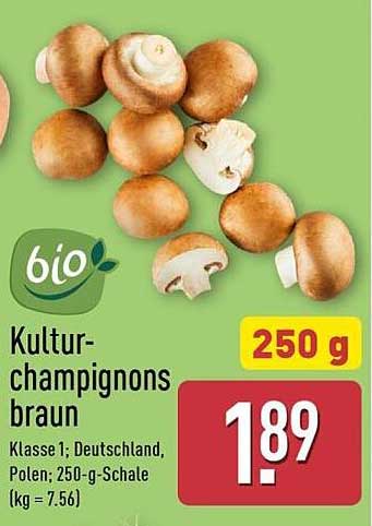 Kultur-champignons braun