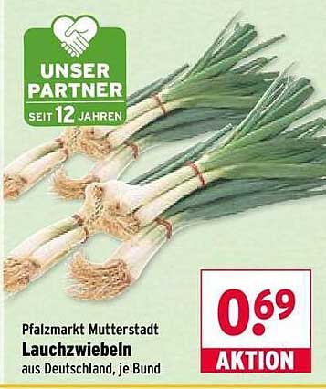 Lauchzwiebeln