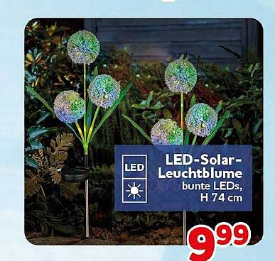 LED-Solar-Leuchtblume bunte LEDs, H 74 cm