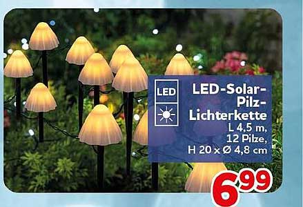 LED-Solar-Pilz-Lichterkette