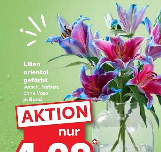 Lilien oriental gefärbt versch. Farben, ohne Vase je Bund