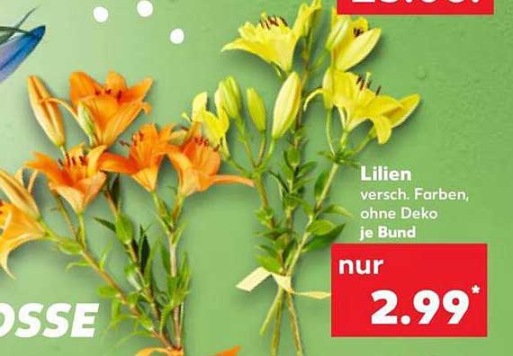 Lilien versch. Farben, ohne Deko je Bund