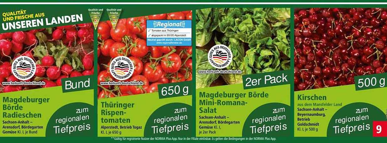 Magdeburger Börde Radieschen