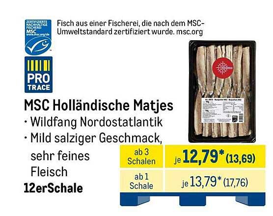MSC Holländische Matjes