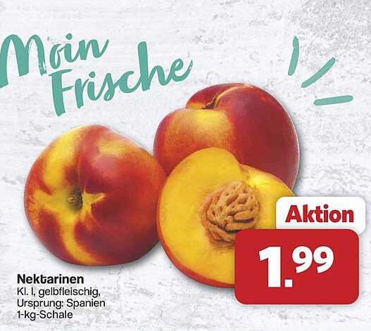 Nektarinen
