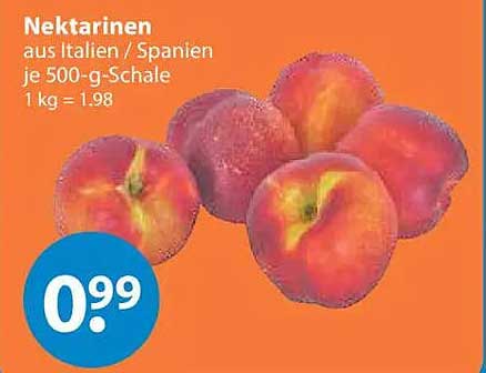 Nektarinen