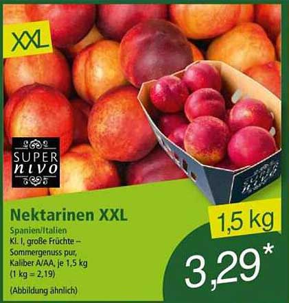 Nektarinen XXL