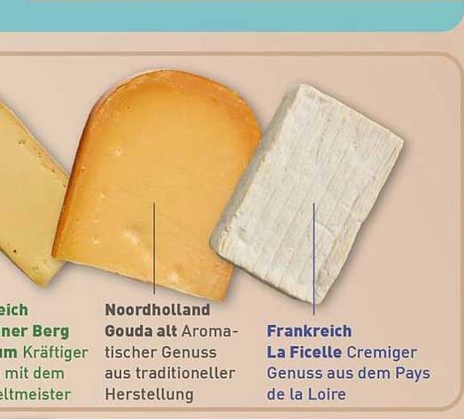Noordholland Gouda alt Aroma-tischer Genuss aus traditioneller Herstellung