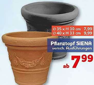 Pflanztopf SIENA versch. Ausführungen
