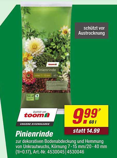 Pinienrinde
