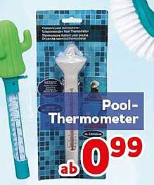 Pool-Thermometer